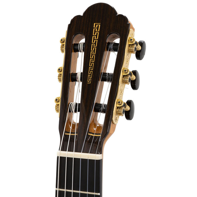 TORRES Spr (640)ヘッド画像 TORRES Spr (640)ヘッド画像
