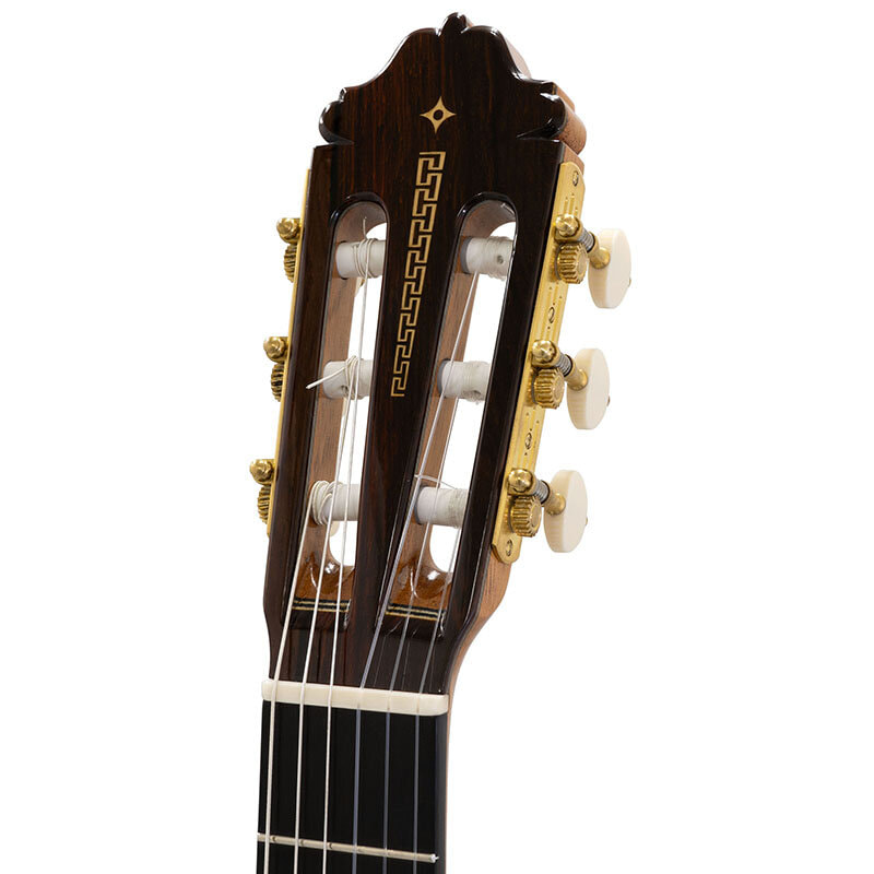 TRADICIONAL Sprヘッド画像 TRADICIONAL Sprヘッド画像