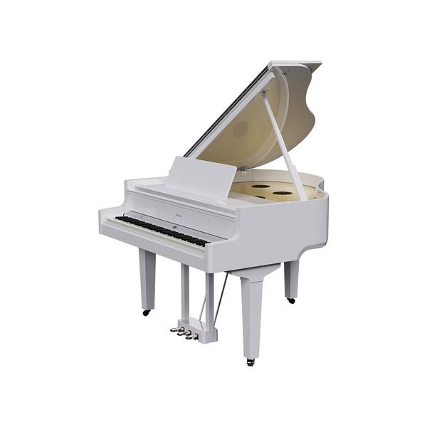 Roland-Home PianoGP-9-PWS