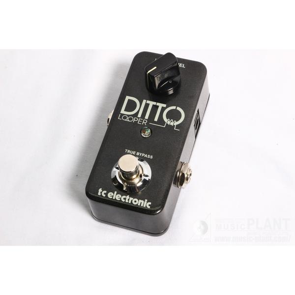 DITTO LOOPERサムネイル