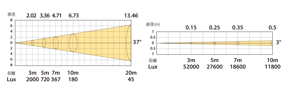 ALLIGATOR追加画像 ALLIGATOR追加画像
