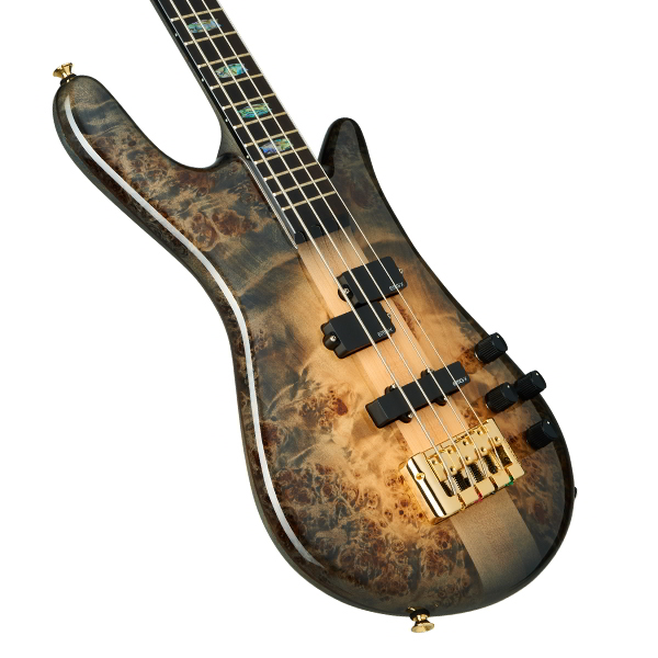 Euro4 CST Natural Black Burst Gloss追加画像 Euro4 CST Natural Black Burst Gloss追加画像