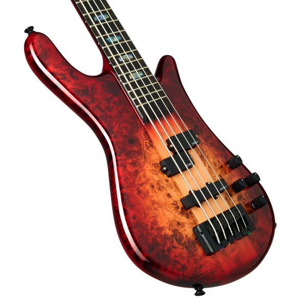 Euro5 CST Natural Red Burst Gloss追加画像 Euro5 CST Natural Red Burst Gloss追加画像