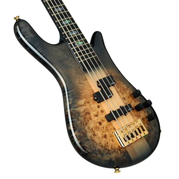 Euro5 CST Natural Black Burst Gloss追加画像 Euro5 CST Natural Black Burst Gloss追加画像