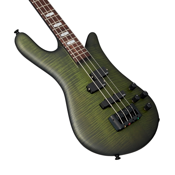Euro4 LX neck-thru Haunted Moss Matte追加画像 Euro4 LX neck-thru Haunted Moss Matte追加画像
