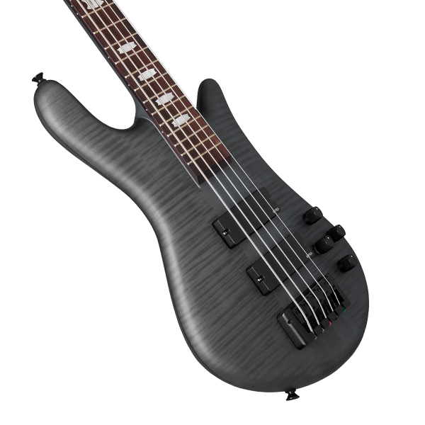 Euro5 LX neck-thru Black Satin Matte追加画像 Euro5 LX neck-thru Black Satin Matte追加画像