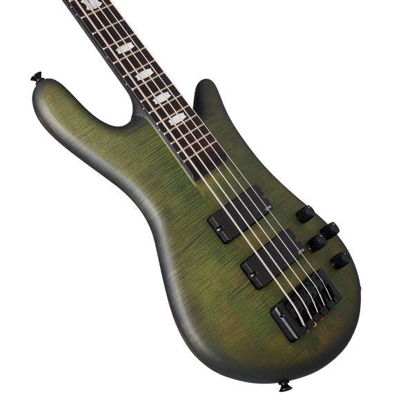 Euro5 LX neck-thru Haunted Moss Matte追加画像 Euro5 LX neck-thru Haunted Moss Matte追加画像