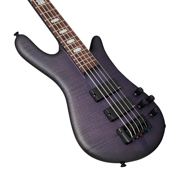 Euro5 LX neck-thru Night Shade Matte追加画像 Euro5 LX neck-thru Night Shade Matte追加画像