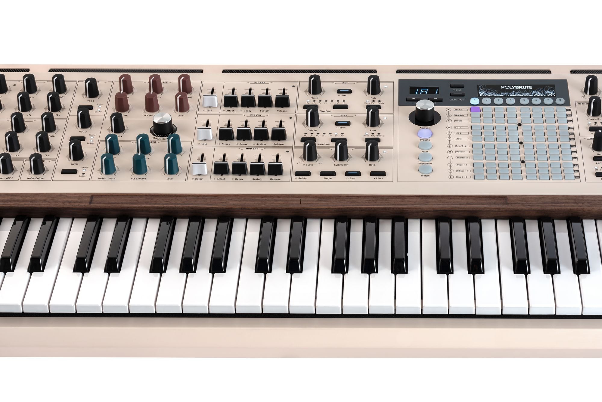 POLYBRUTE 12V追加画像 POLYBRUTE 12V追加画像