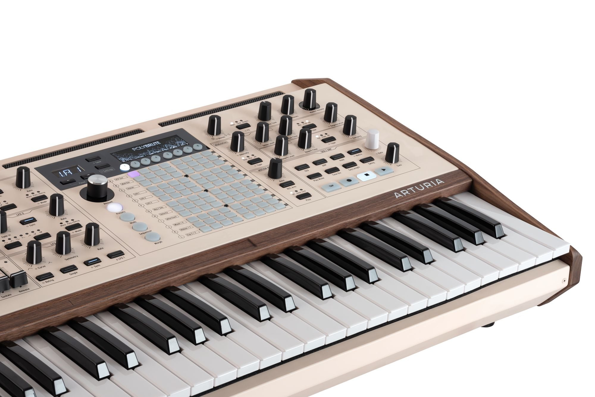 POLYBRUTE 12V追加画像 POLYBRUTE 12V追加画像