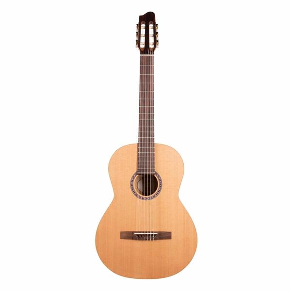 Laika Guitarsトラベル ギター [左利き、レフティー] 楽器・機材