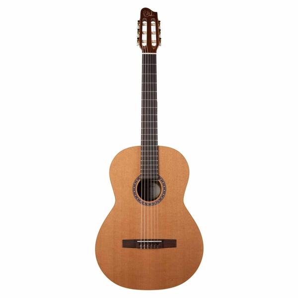 Godin-ガットギターCollection