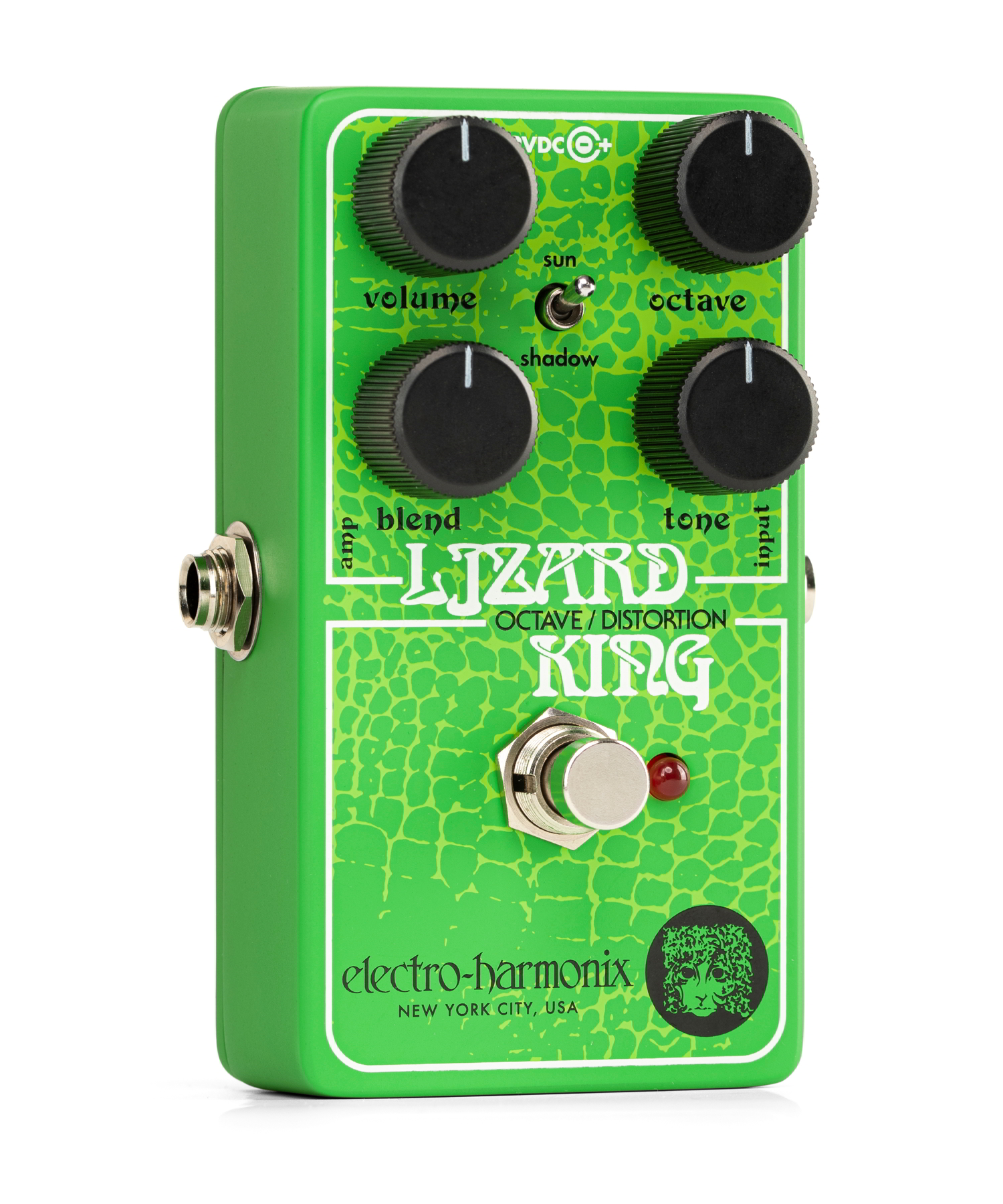 LIZARD KING追加画像 LIZARD KING追加画像