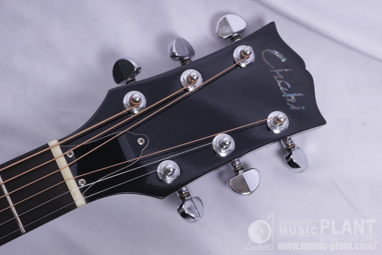 P-112ヘッド画像 P-112ヘッド画像