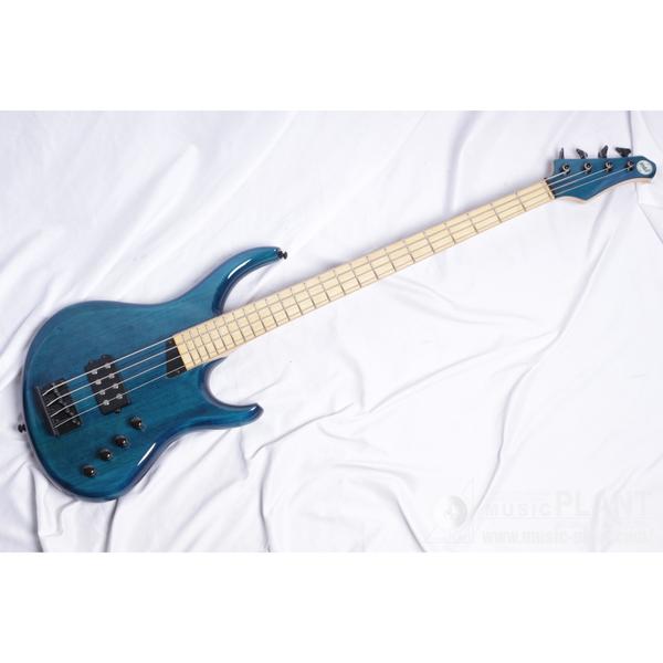 KA4 The Kingston Artistサムネイル