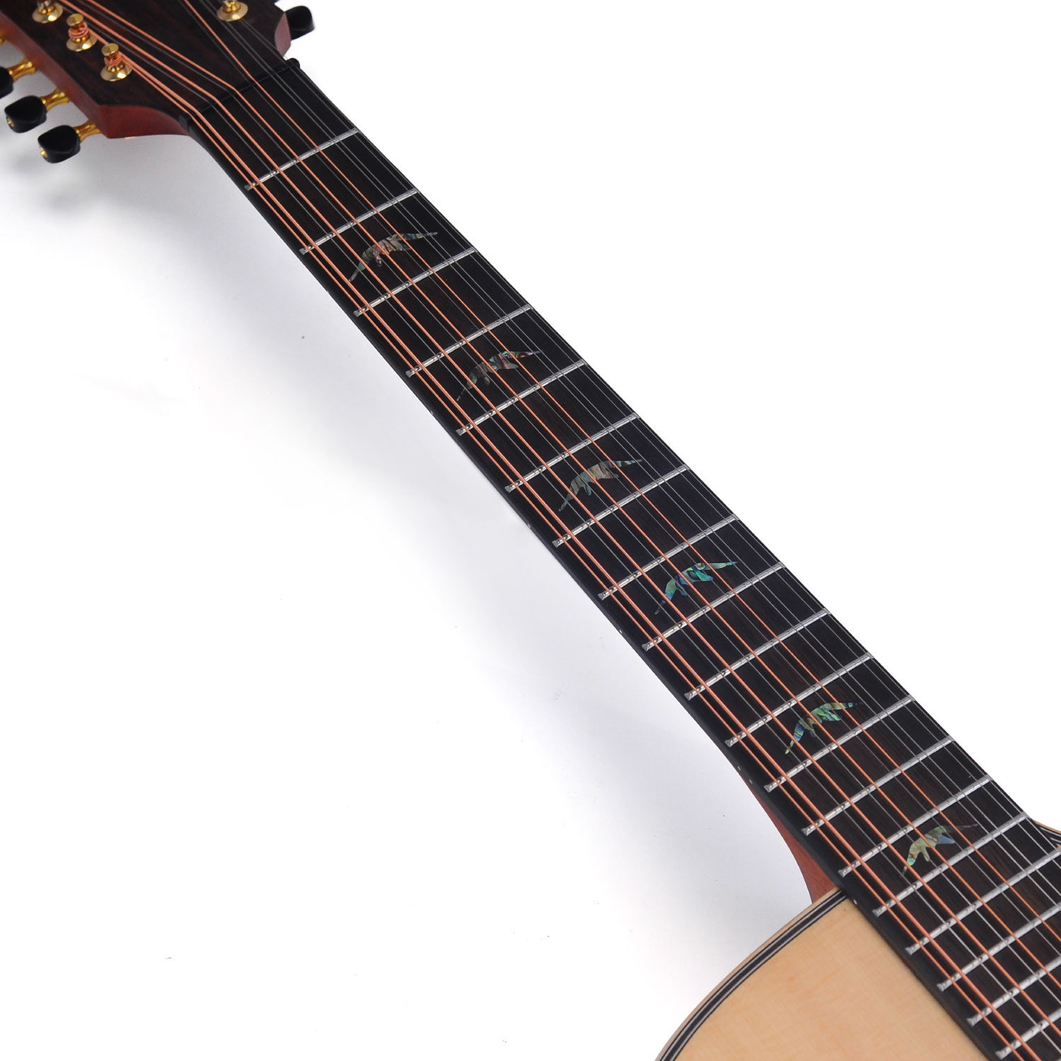 BAT4CE12 12Strings追加画像 BAT4CE12 12Strings追加画像
