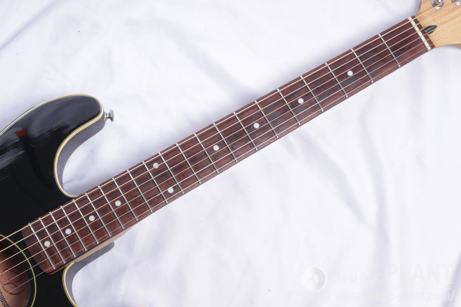 Stratacoustic追加画像 Stratacoustic追加画像