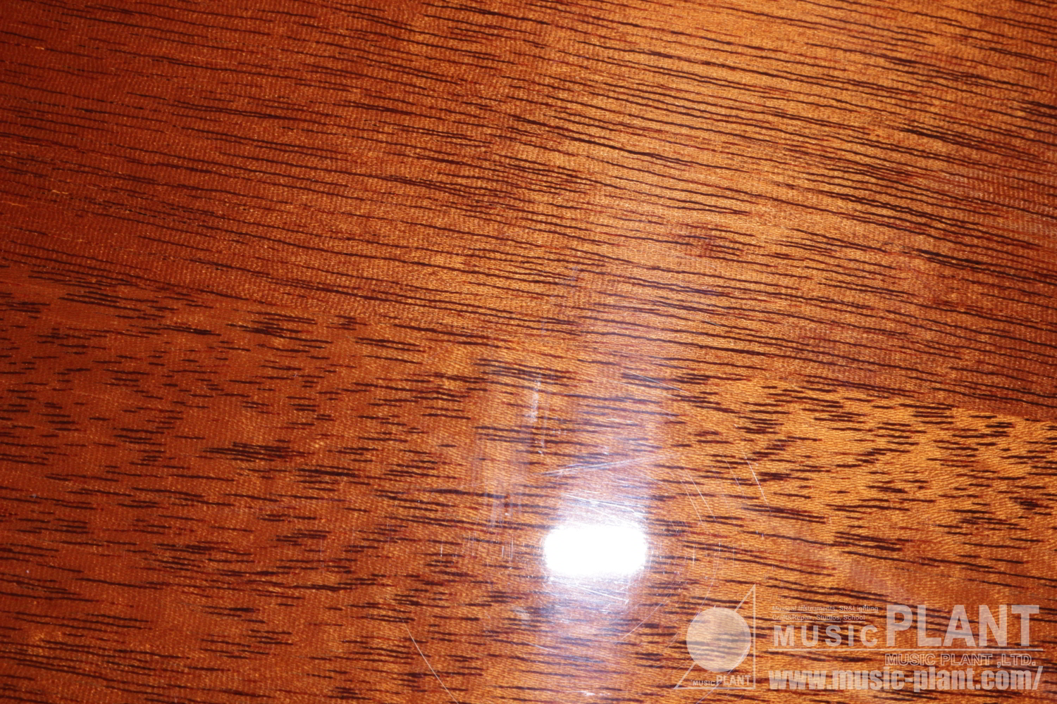 Grain Flat Quilted Maple Trans Purple追加画像 Grain Flat Quilted Maple Trans Purple追加画像