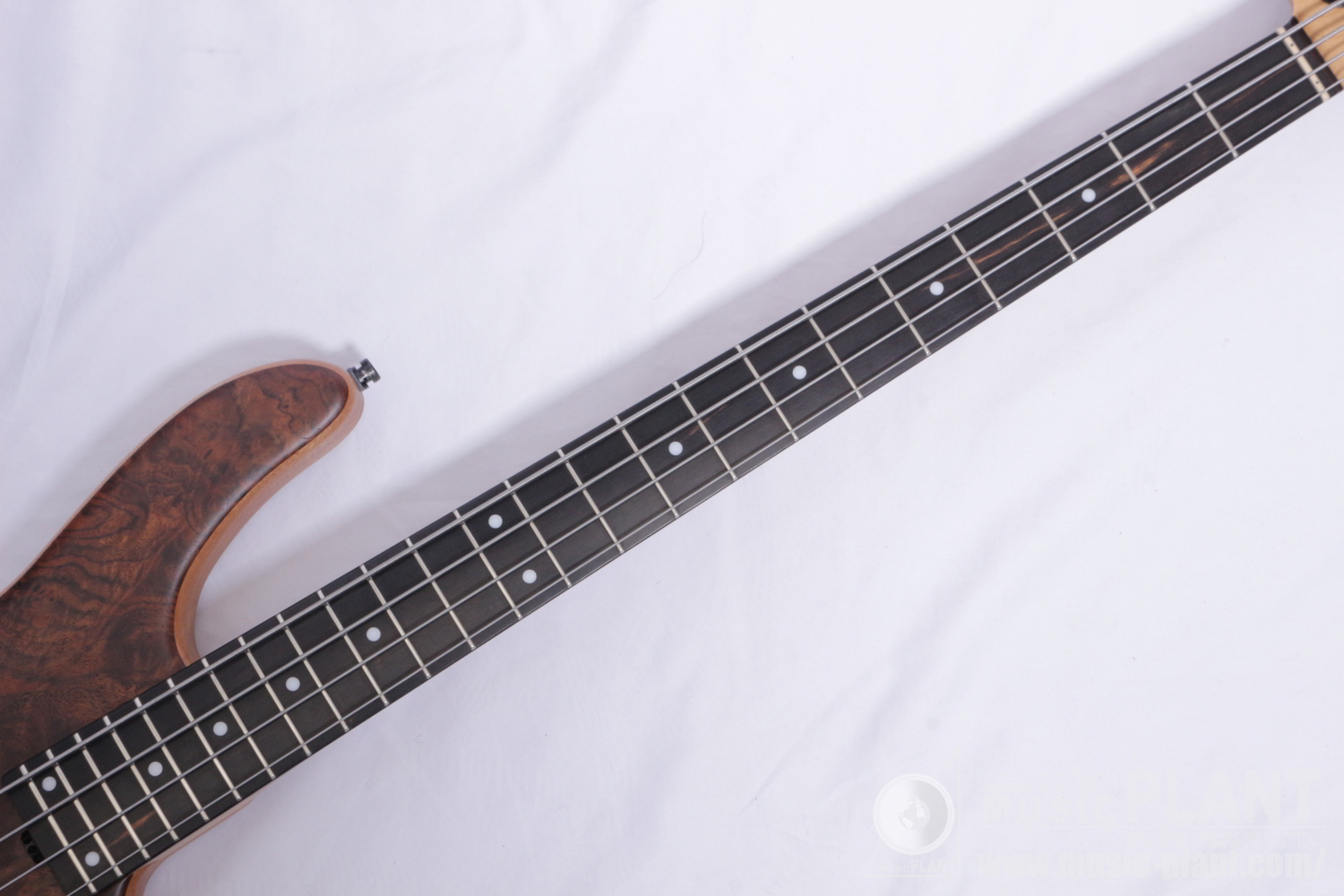 ML24 24-FRET MODERN BASS 4 SPECIAL EDITION 2021追加画像 ML24 24-FRET MODERN BASS 4 SPECIAL EDITION 2021追加画像