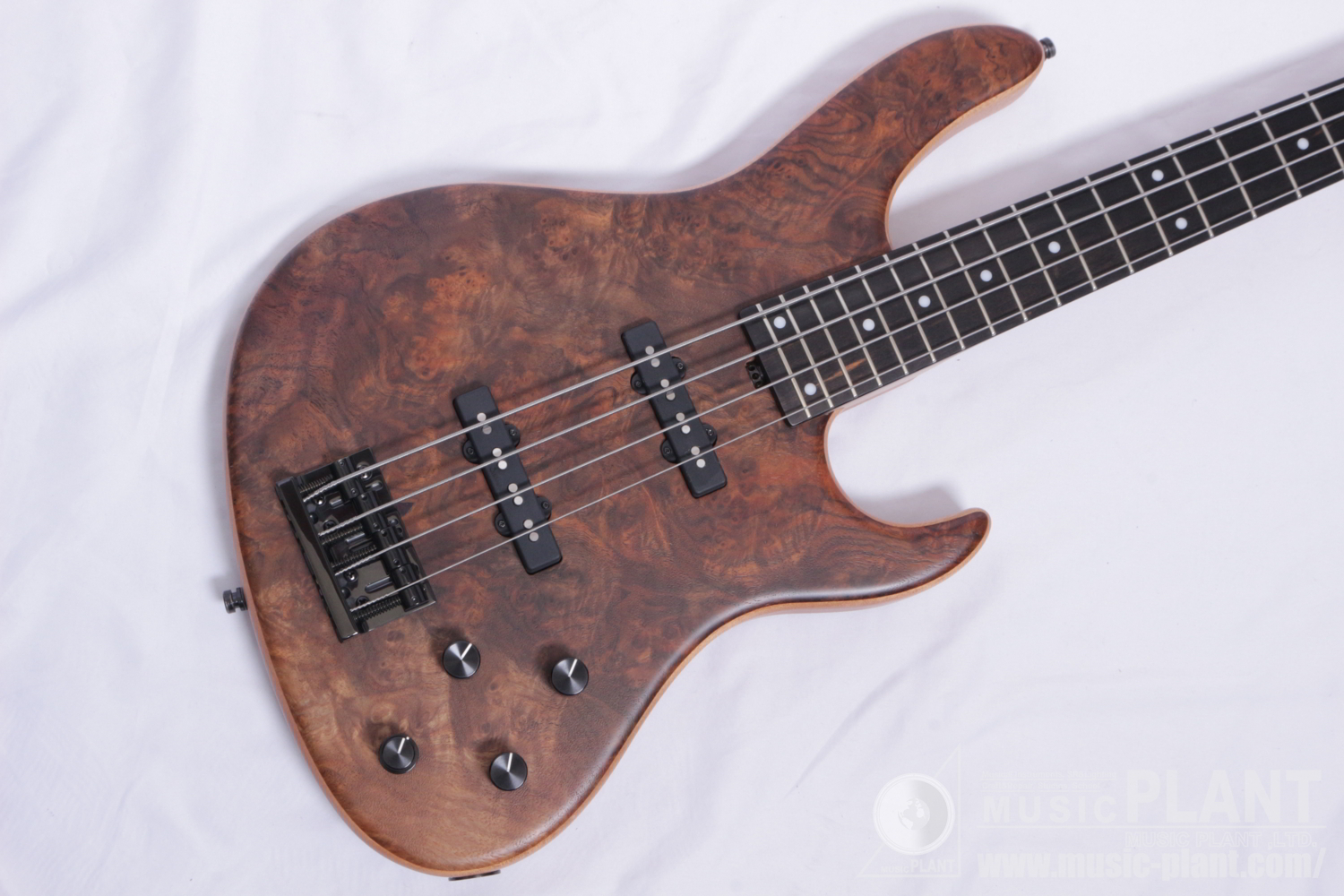 ML24 24-FRET MODERN BASS 4 SPECIAL EDITION 2021追加画像 ML24 24-FRET MODERN BASS 4 SPECIAL EDITION 2021追加画像