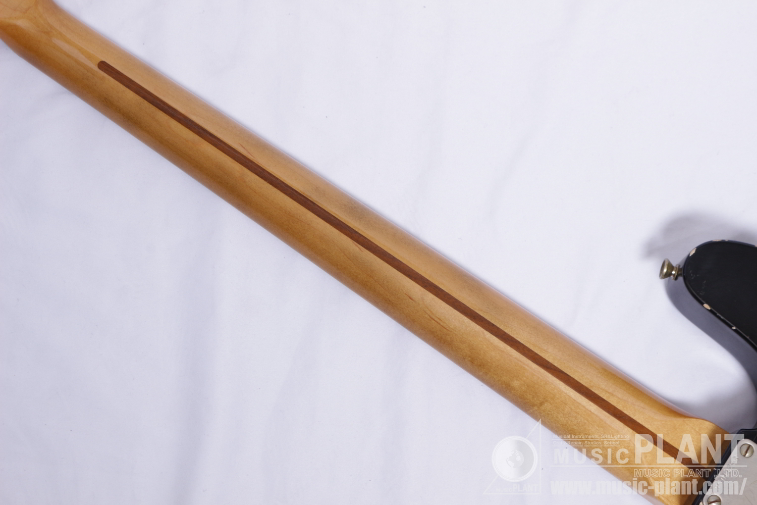 OLD FRIEND SLAB BASS追加画像 OLD FRIEND SLAB BASS追加画像