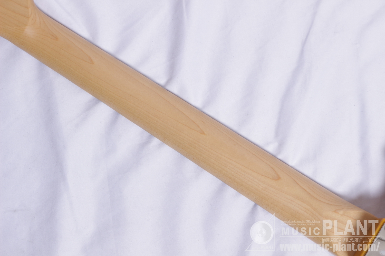 Standard Telecaster®, Maple Fingerboard, Black Pickguard, Butterscotch Blonde追加画像 Standard Telecaster®, Maple Fingerboard, Black Pickguard, Butterscotch Blonde追加画像