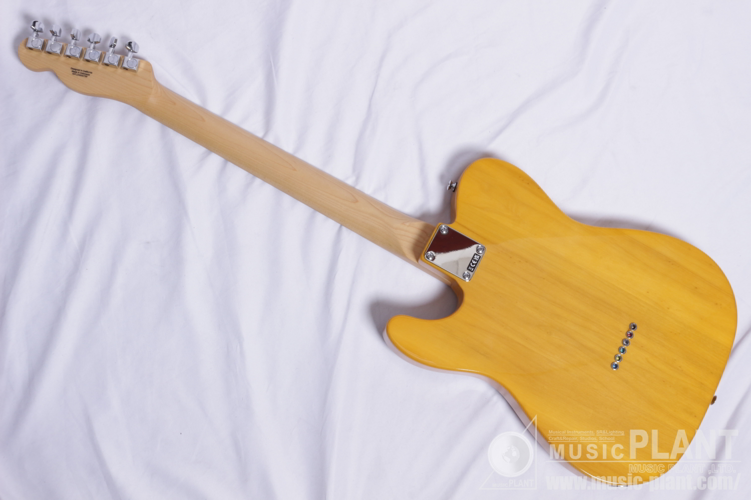 Standard Telecaster®, Maple Fingerboard, Black Pickguard, Butterscotch Blonde背面画像 Standard Telecaster®, Maple Fingerboard, Black Pickguard, Butterscotch Blonde背面画像