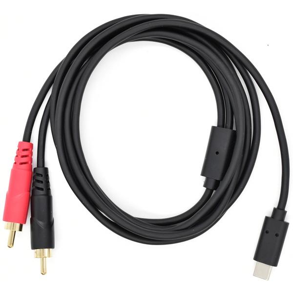 TRUE DYNA-USB TYPE-C - CAピンプラグ(L,R)TD-USB-RCA2