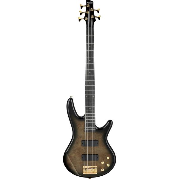 Ibanez-5弦エレキベースGSR205PC-TPB
