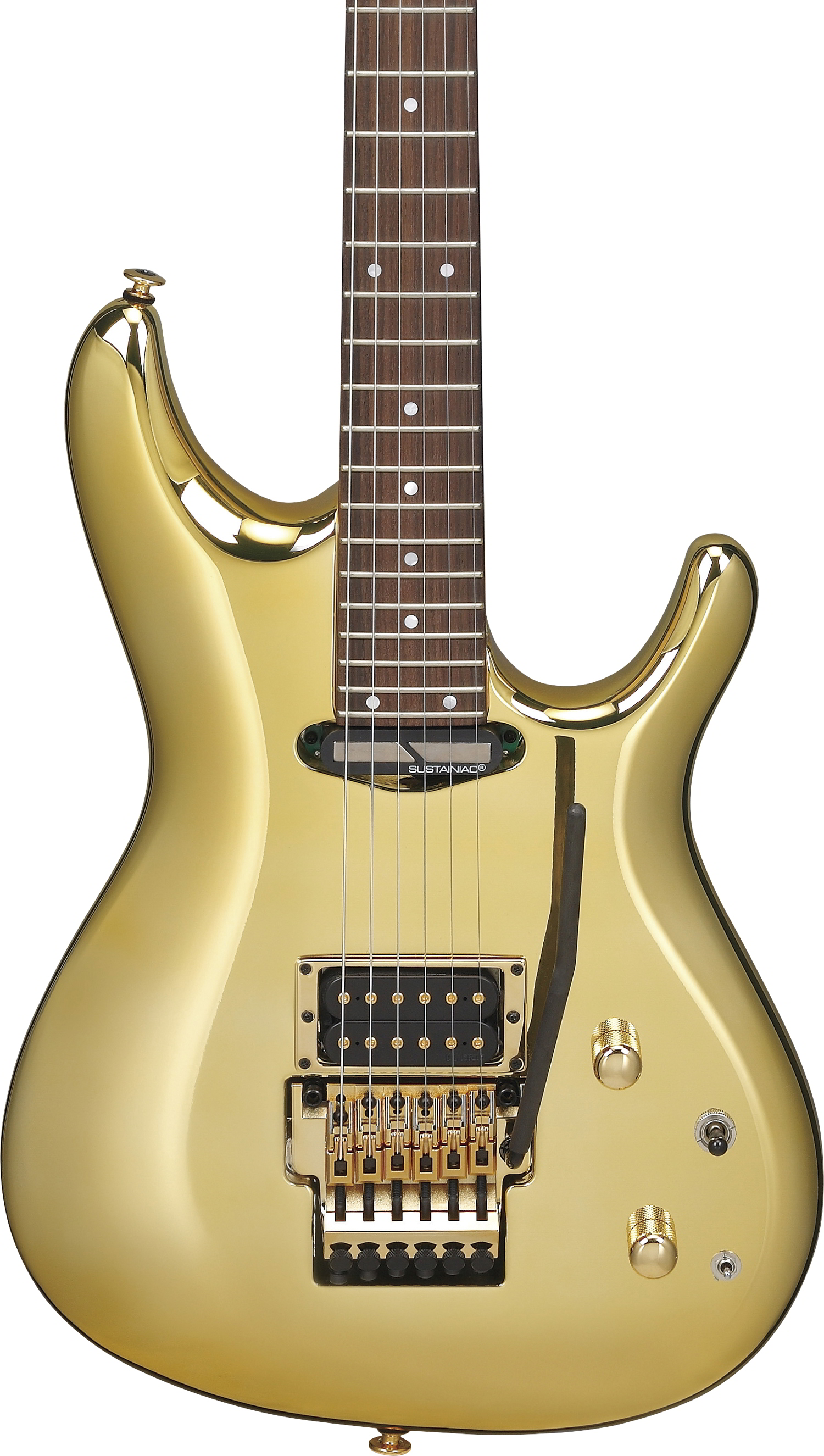 JS1GD Joe Satriani Signature追加画像 JS1GD Joe Satriani Signature追加画像