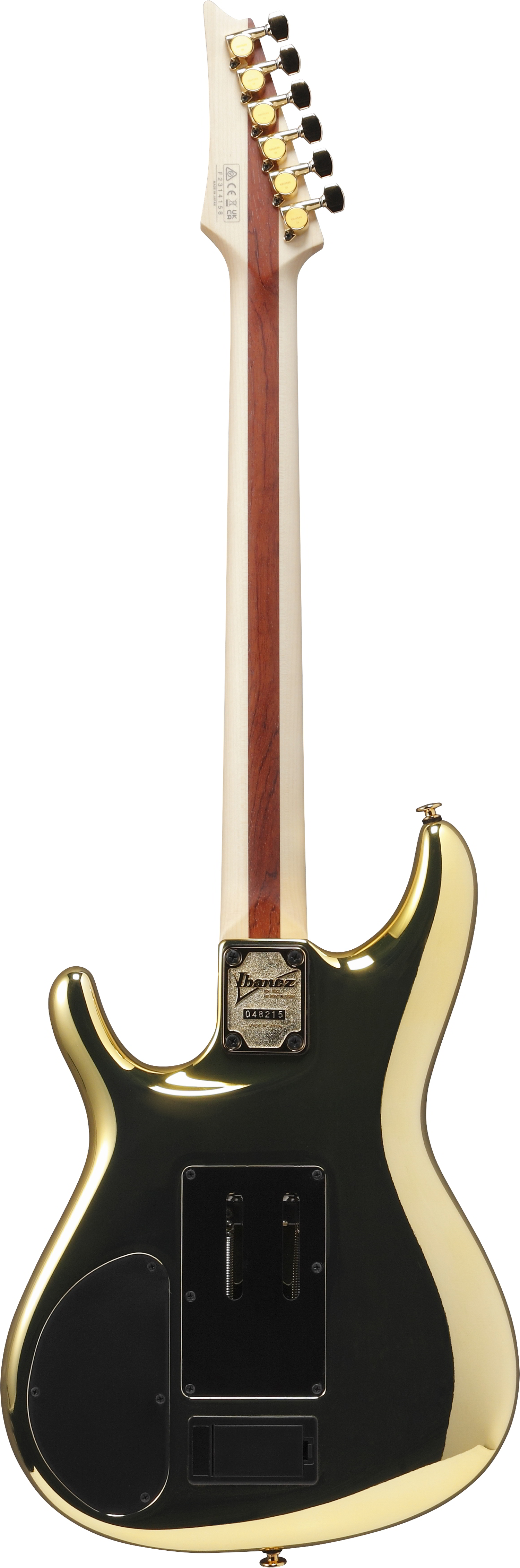 JS1GD Joe Satriani Signature背面画像 JS1GD Joe Satriani Signature背面画像