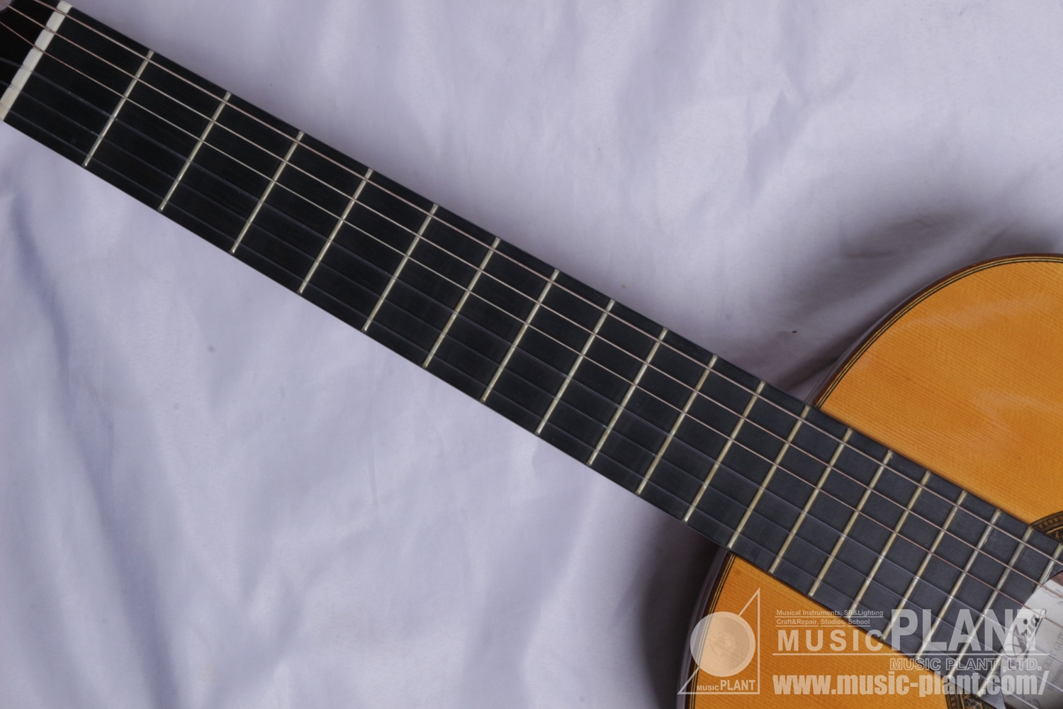 AC-80 Lefty追加画像 AC-80 Lefty追加画像