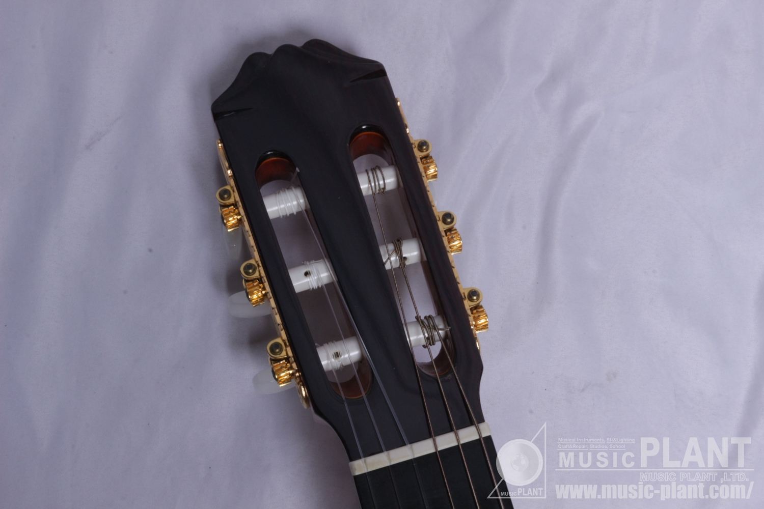 AC-80 Leftyヘッド画像 AC-80 Leftyヘッド画像