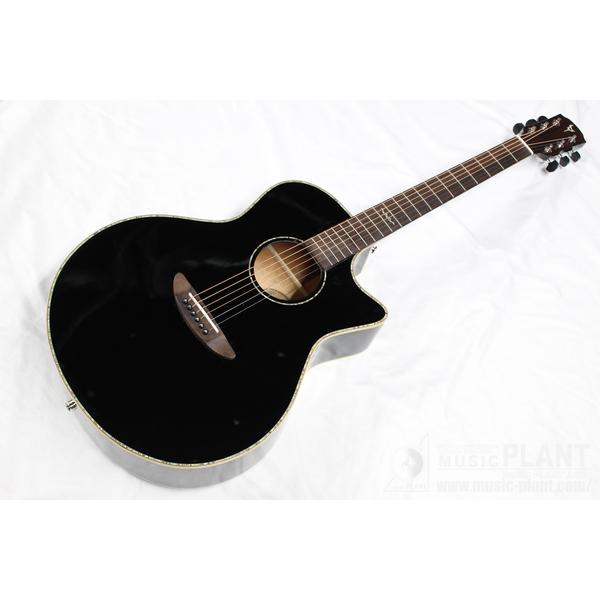 Dream Comes True (DCT)GR-345CE BK 【OUTLET】
