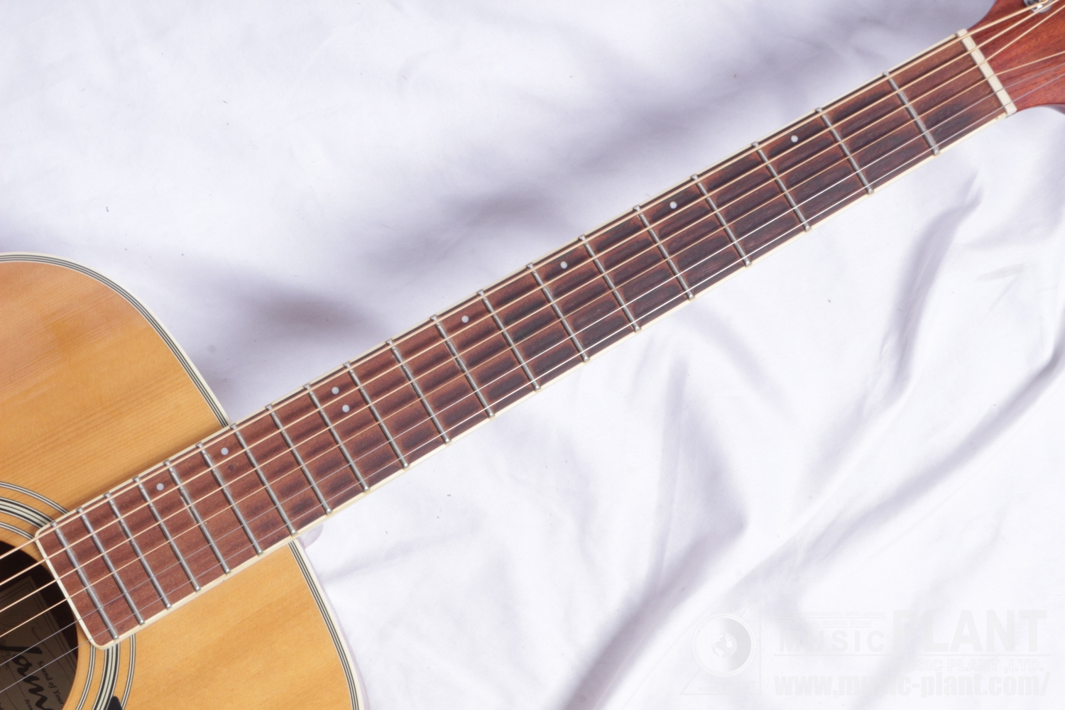 J-300D Natural追加画像 J-300D Natural追加画像