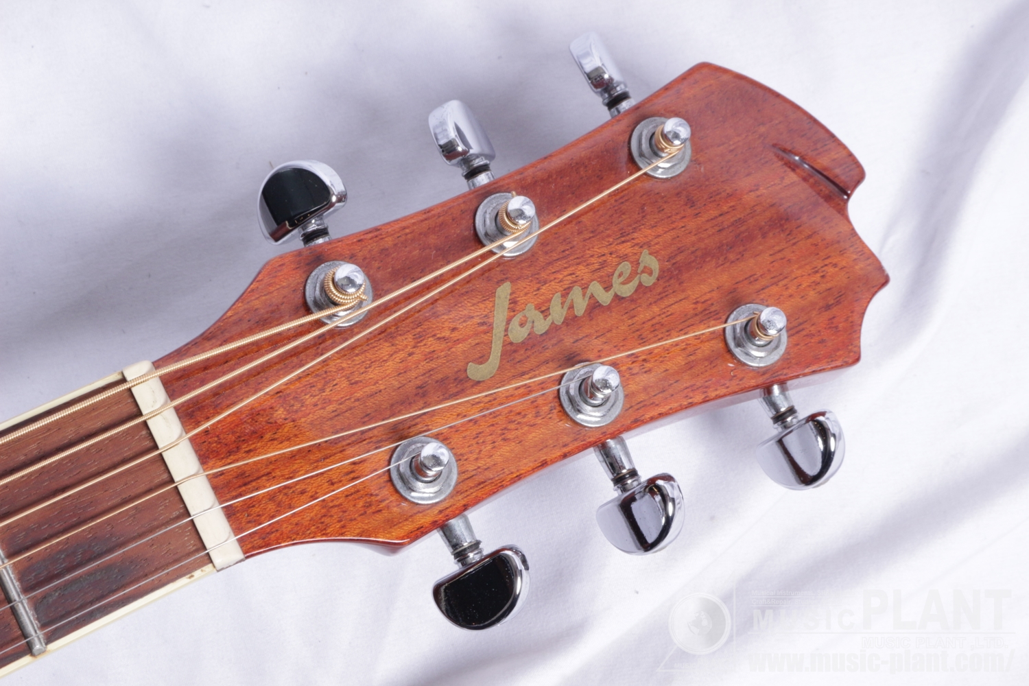 J-300D Naturalヘッド画像 J-300D Naturalヘッド画像