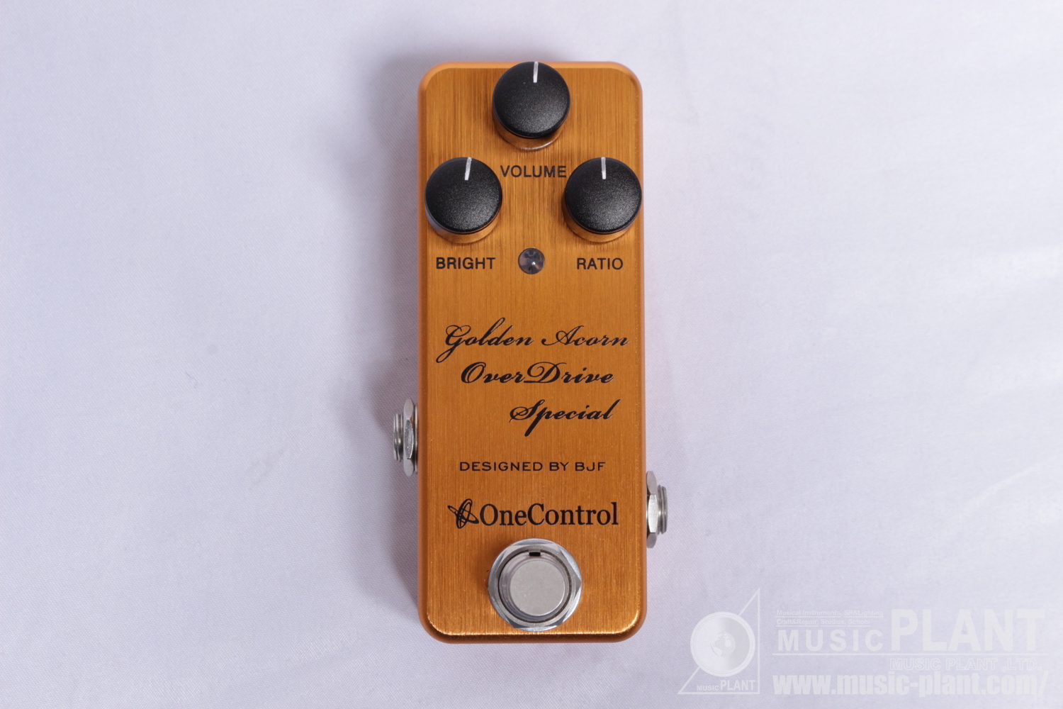 Golden Acorn OverDrive Special追加画像 Golden Acorn OverDrive Special追加画像