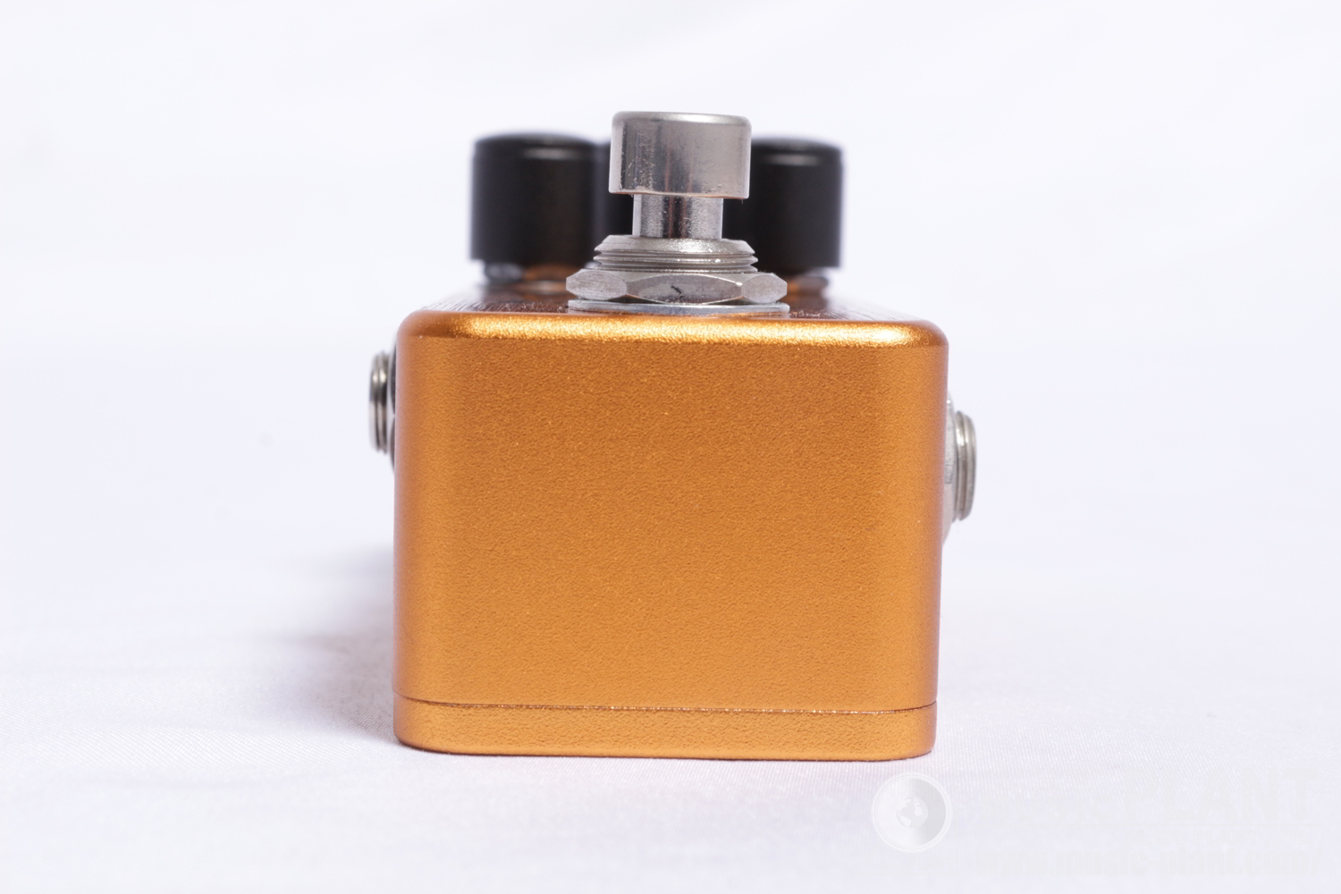 Golden Acorn OverDrive Special追加画像 Golden Acorn OverDrive Special追加画像