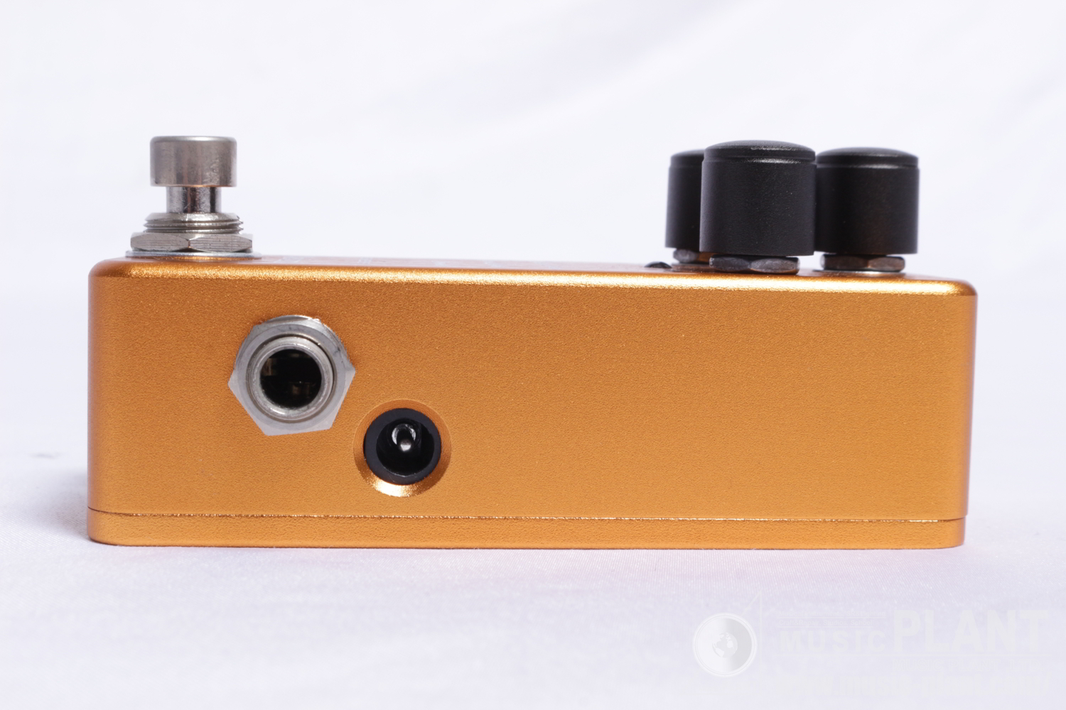 Golden Acorn OverDrive Special追加画像 Golden Acorn OverDrive Special追加画像