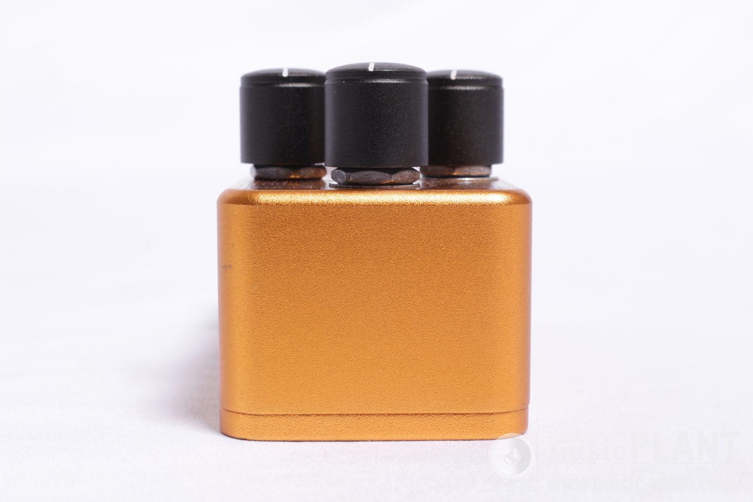 Golden Acorn OverDrive Special追加画像 Golden Acorn OverDrive Special追加画像