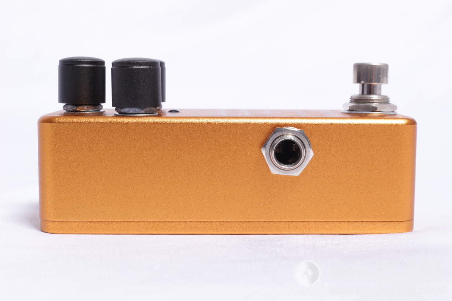 Golden Acorn OverDrive Special追加画像 Golden Acorn OverDrive Special追加画像