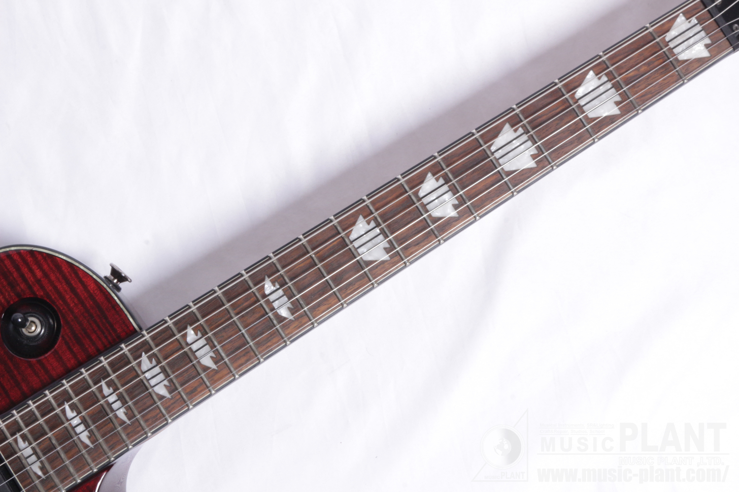 Desolation Single Cutaway Transparent Red追加画像 Desolation Single Cutaway Transparent Red追加画像