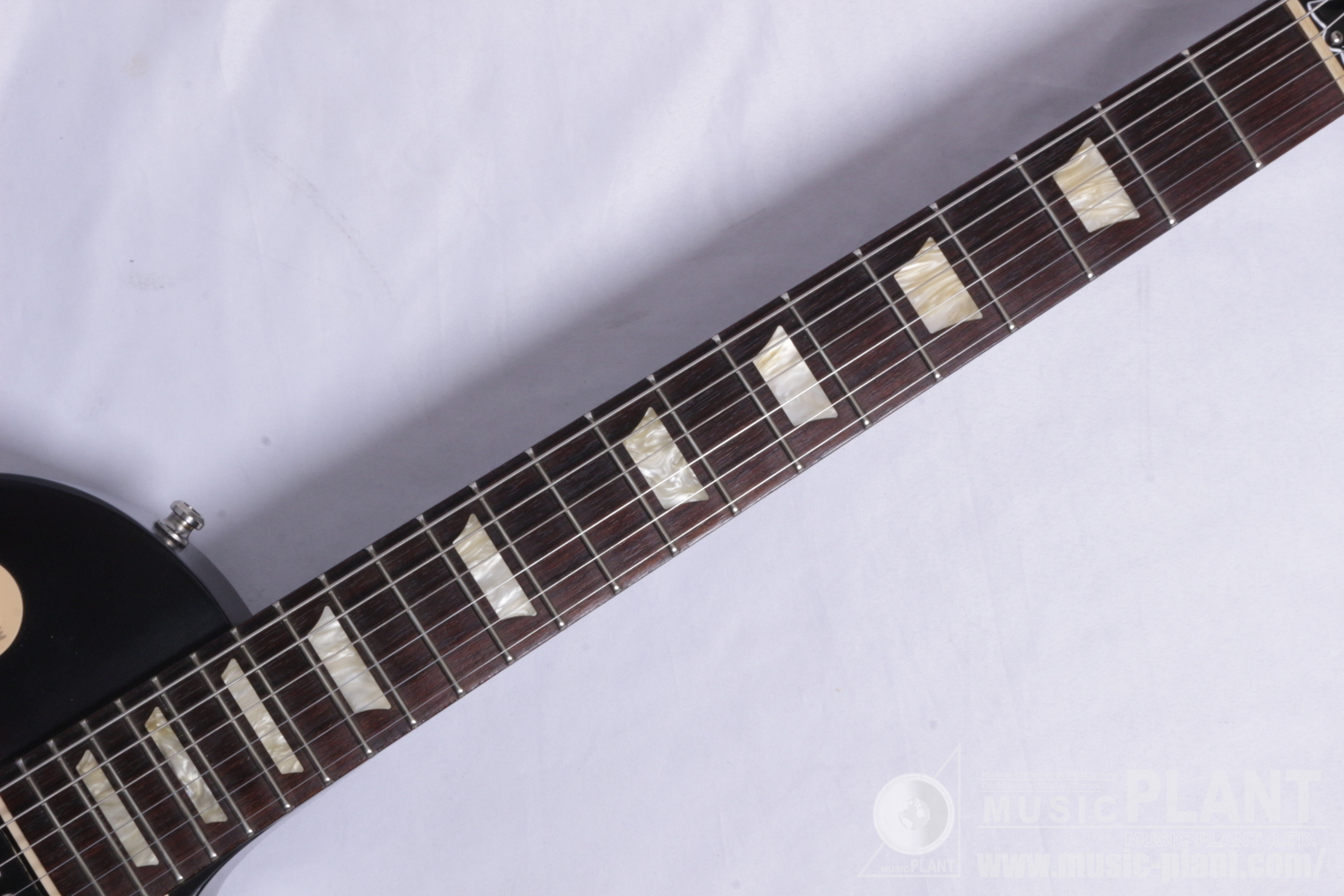 Les Paul Studio 50s Tribute 2016追加画像 Les Paul Studio 50s Tribute 2016追加画像