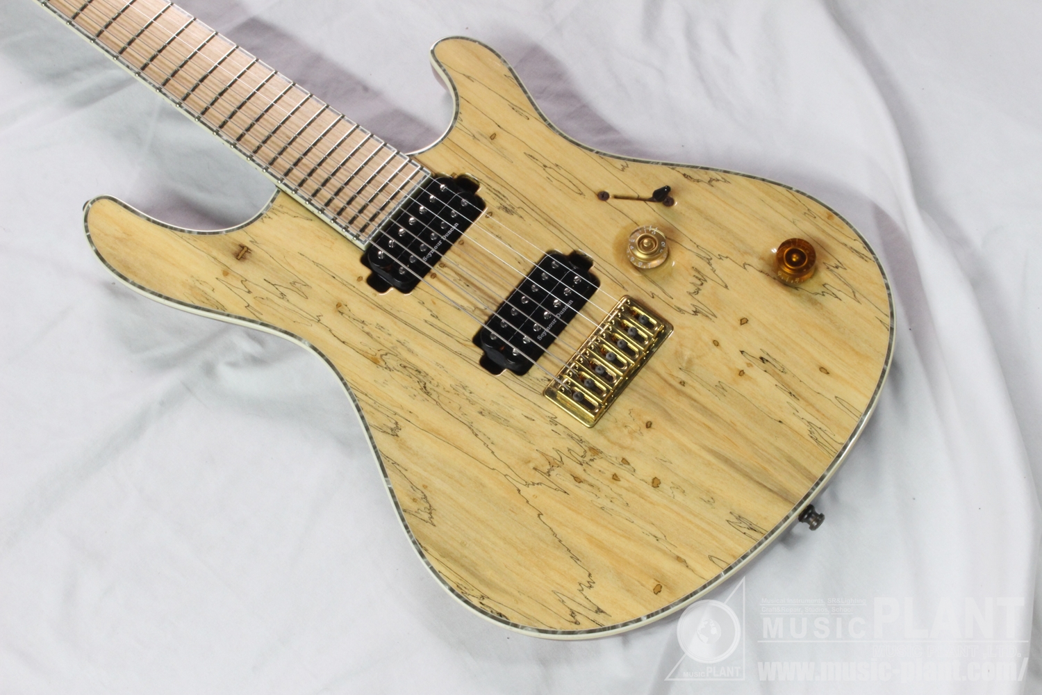 Regius 7 Spalted Maple Top追加画像 Regius 7 Spalted Maple Top追加画像