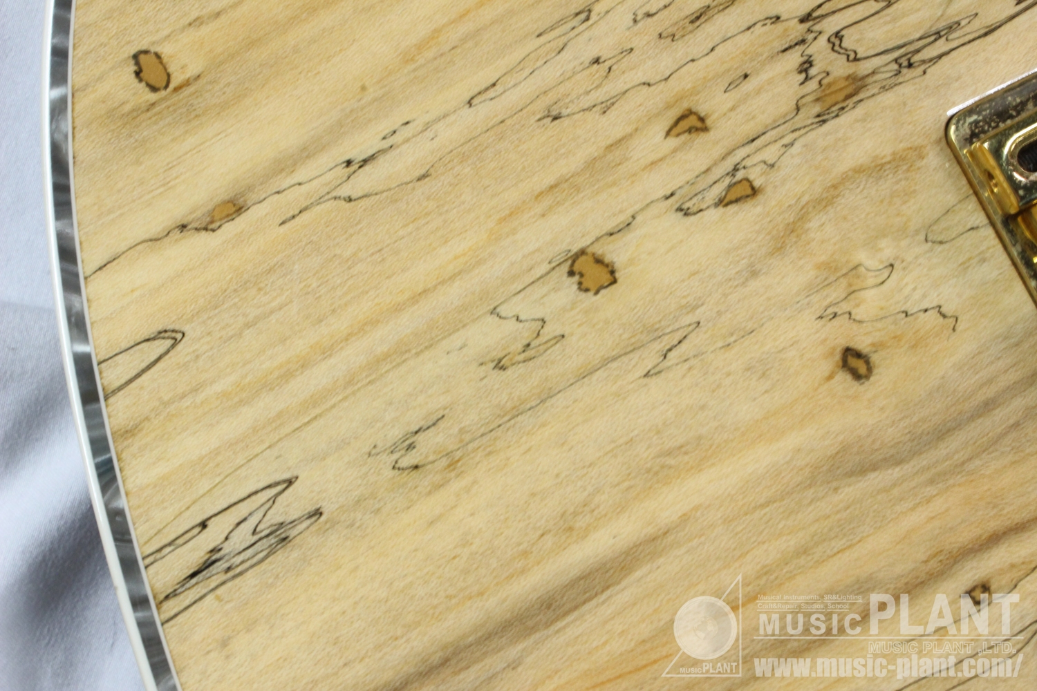 Regius 7 Spalted Maple Top追加画像 Regius 7 Spalted Maple Top追加画像