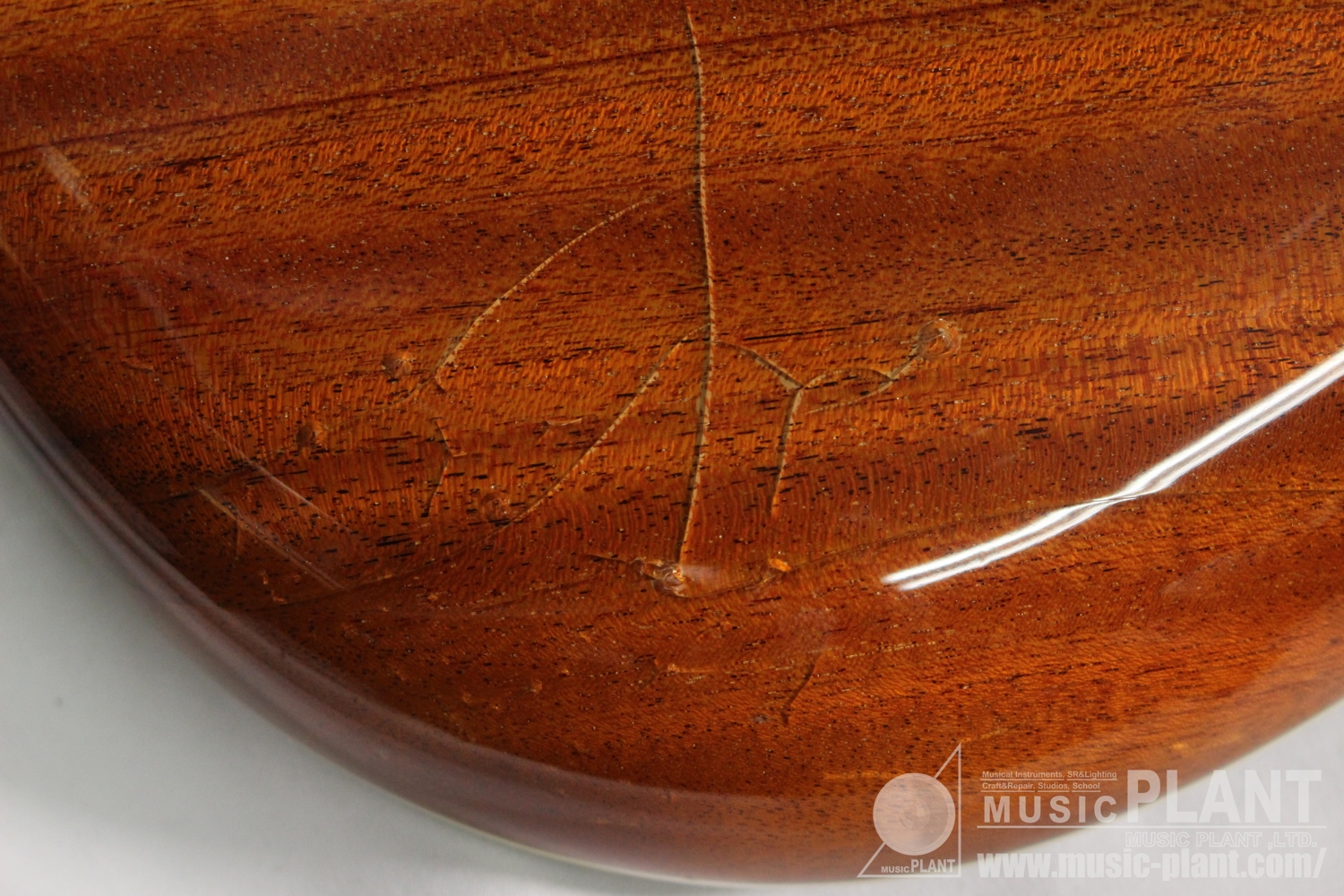 Regius 7 Spalted Maple Top追加画像 Regius 7 Spalted Maple Top追加画像