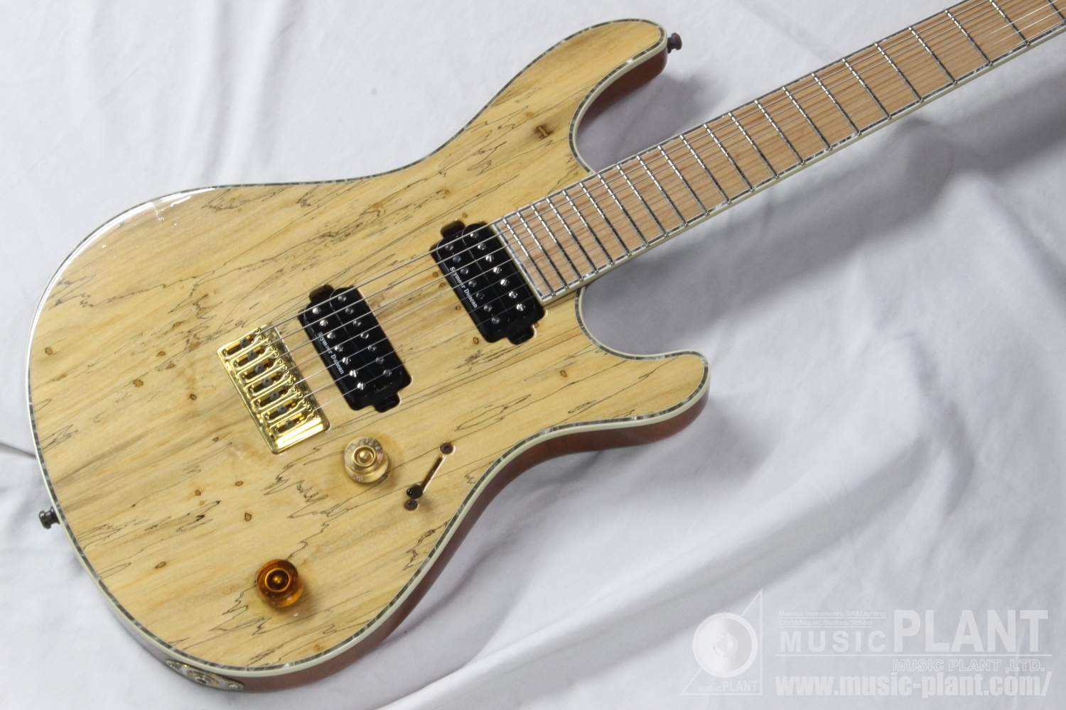 Regius 7 Spalted Maple Top追加画像 Regius 7 Spalted Maple Top追加画像