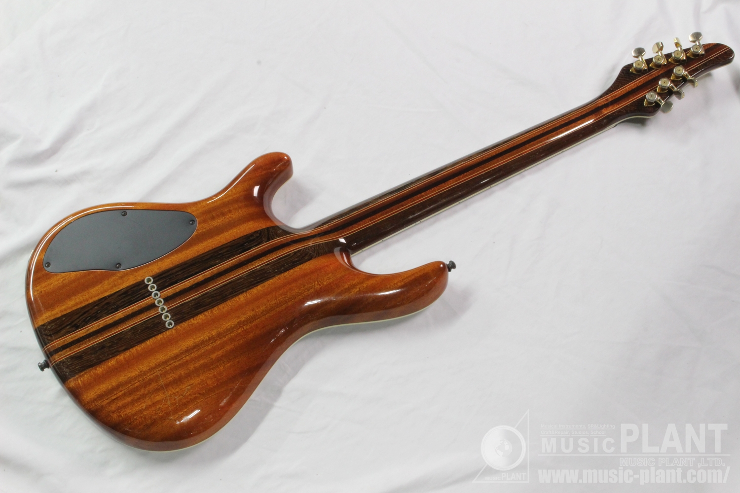 Regius 7 Spalted Maple Top背面画像 Regius 7 Spalted Maple Top背面画像