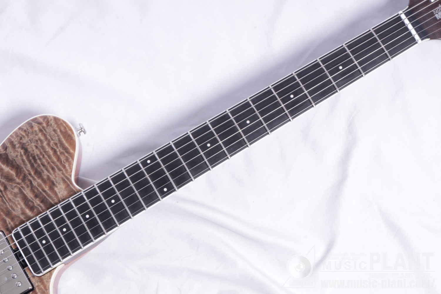 2017 Limited Edition BFR Axis Super Sport HH Tremolo Trans Black Quilt追加画像 2017 Limited Edition BFR Axis Super Sport HH Tremolo Trans Black Quilt追加画像