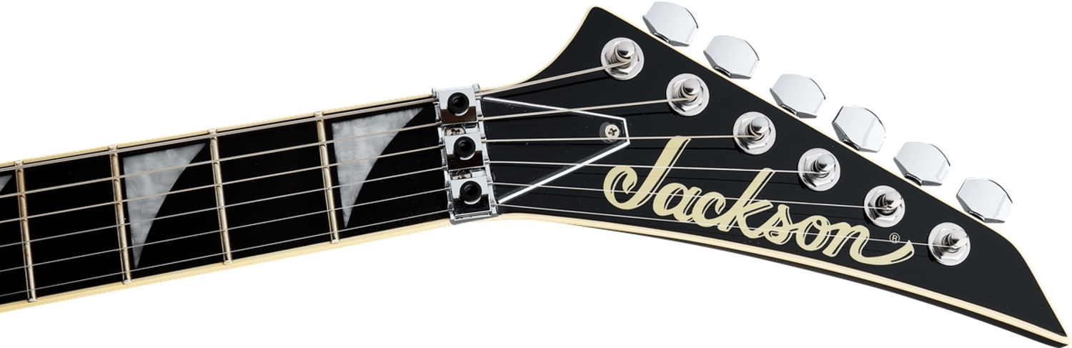 Pro Plus Pure Metal Limited Edition Rhoads RR1A, Ebony Fingerboard, Gloss Black追加画像 Pro Plus Pure Metal Limited Edition Rhoads RR1A, Ebony Fingerboard, Gloss Black追加画像